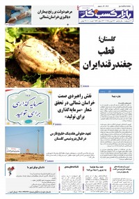 روزنامه بازار کسب و کار پارس 1207