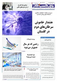 روزنامه بازار کسب و کار پارس 1370